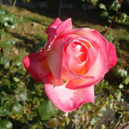 Riviera By Kalina Resort, Apartament